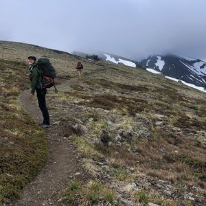 Meet your Posher, Carrie